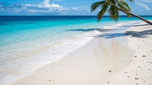 🍷 Дип хаус для романтического вечера | Музыка для двоих, свечей и близости