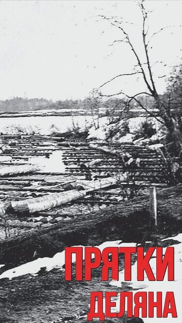 Играй гармонь! #баян #rock #прятки #рок #музыка #шансон #сибирь #сибиряки #трек #инструментал