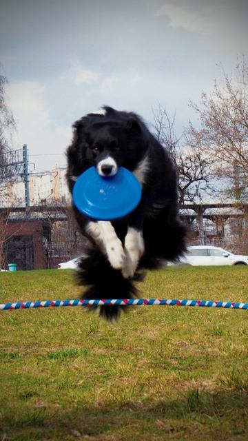 Летающий Кай