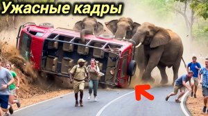 21-04-2026. ЧП❗КАТАКЛИЗМЫ❗КАТАСТРОФЫ‼️ ПРОИСШЕСТВИЯ ЗА ДЕНЬ. новости дня. СЕГОДНЯ