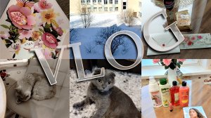 🏡VLOG 🎁ПОДАРКИ🛍️ПОКУПКИ😋ВКУСНЯШКИ🤗🎈ПОЗДРАВЛЕНИЯ 🥺ЛЮСЯ плохо перенесла стерилизацию😏Жалуюсь