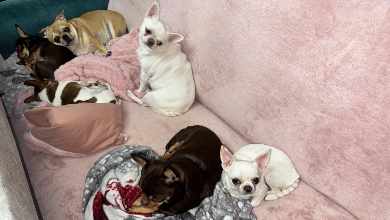 Всем самого доброго вечера и самой спокойной ночи.