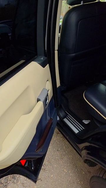 -1240943535355902207