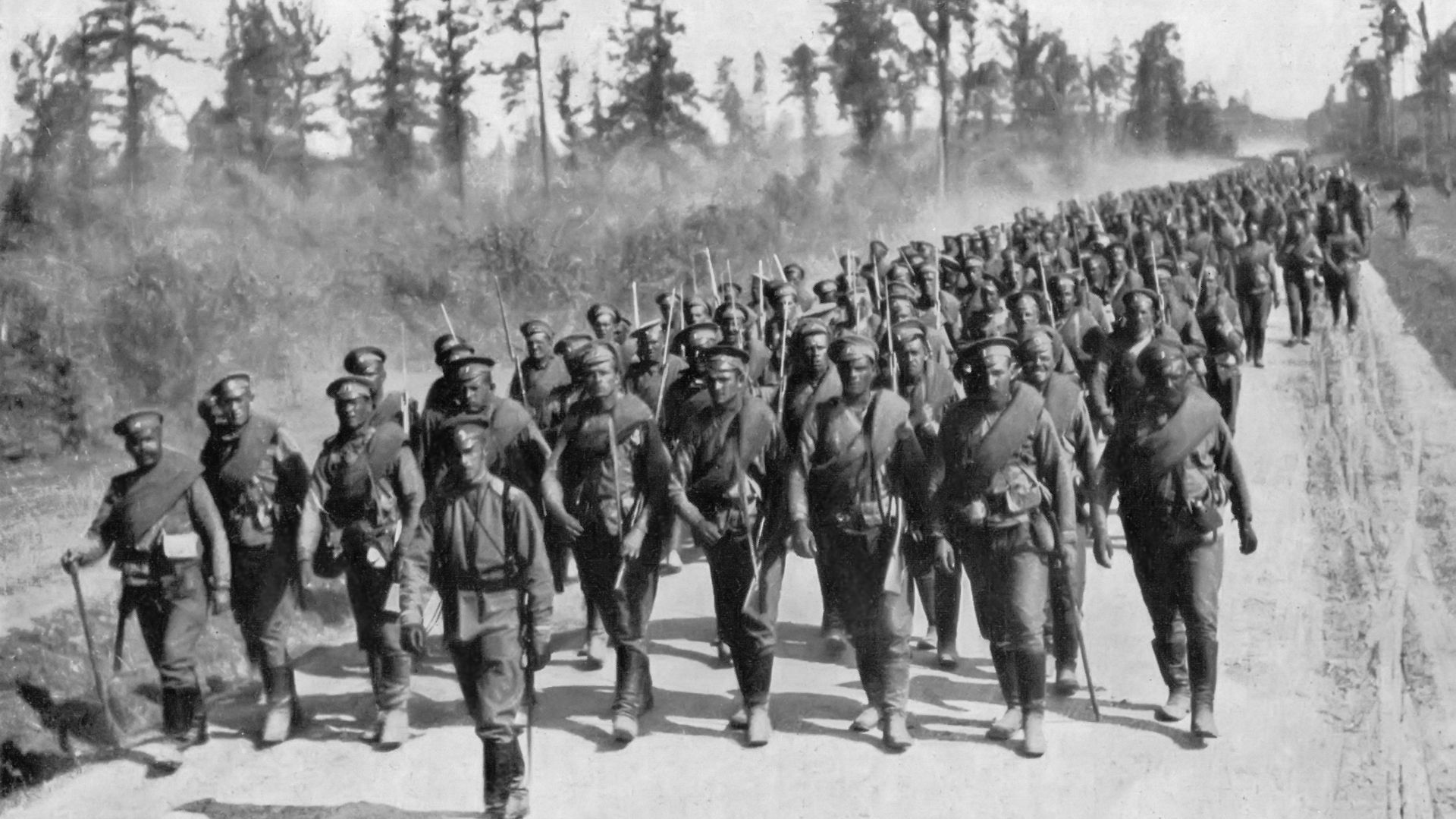 Россия в Первой мировой войне. Причины (Панищев А..Л.)