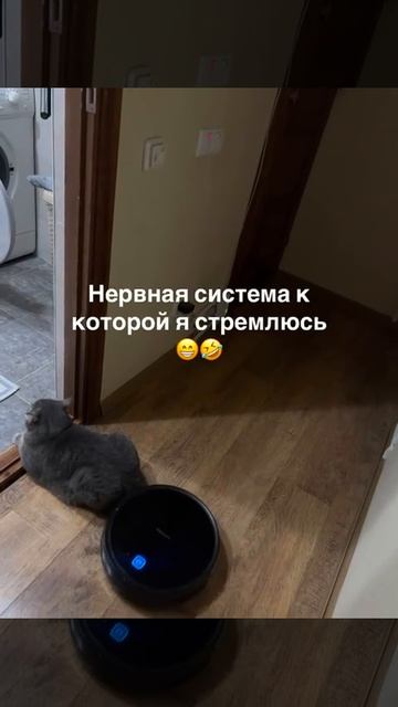 Нервная система