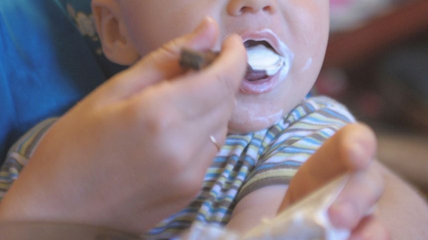 В детском питании Hipp обнаружили крысиный яд, продукцию снимают с продажи в Европе и России