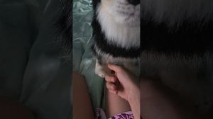 ВЛОГ:с Элис, РАЗГОВОР