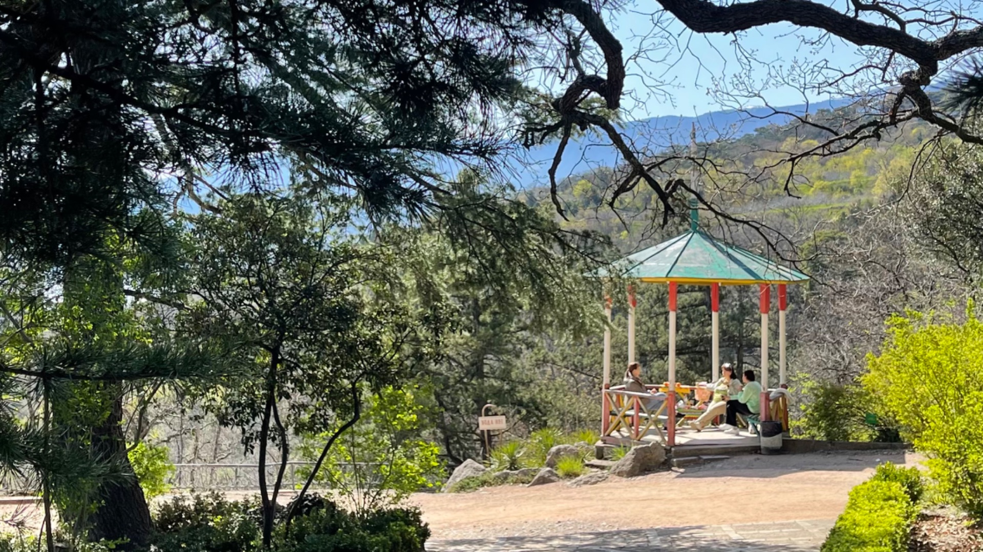 Никитский ботанический сад, весна☘️