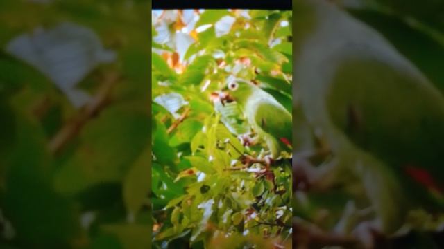 живёт за счёт инвалида,это норма??