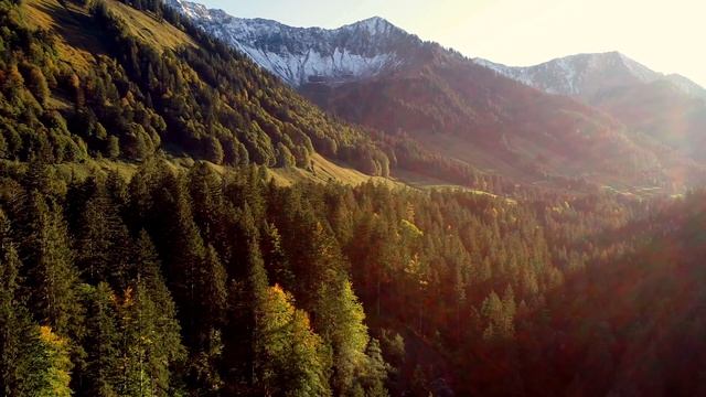 Звуки природы: дыхание гармонии #6