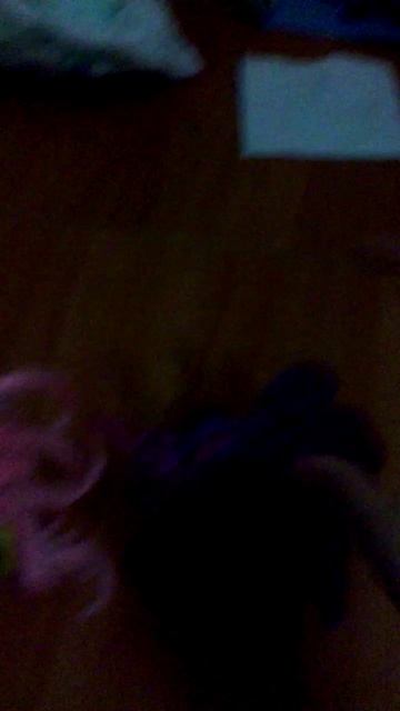 115)ДОМА ВИОЛЕТТА