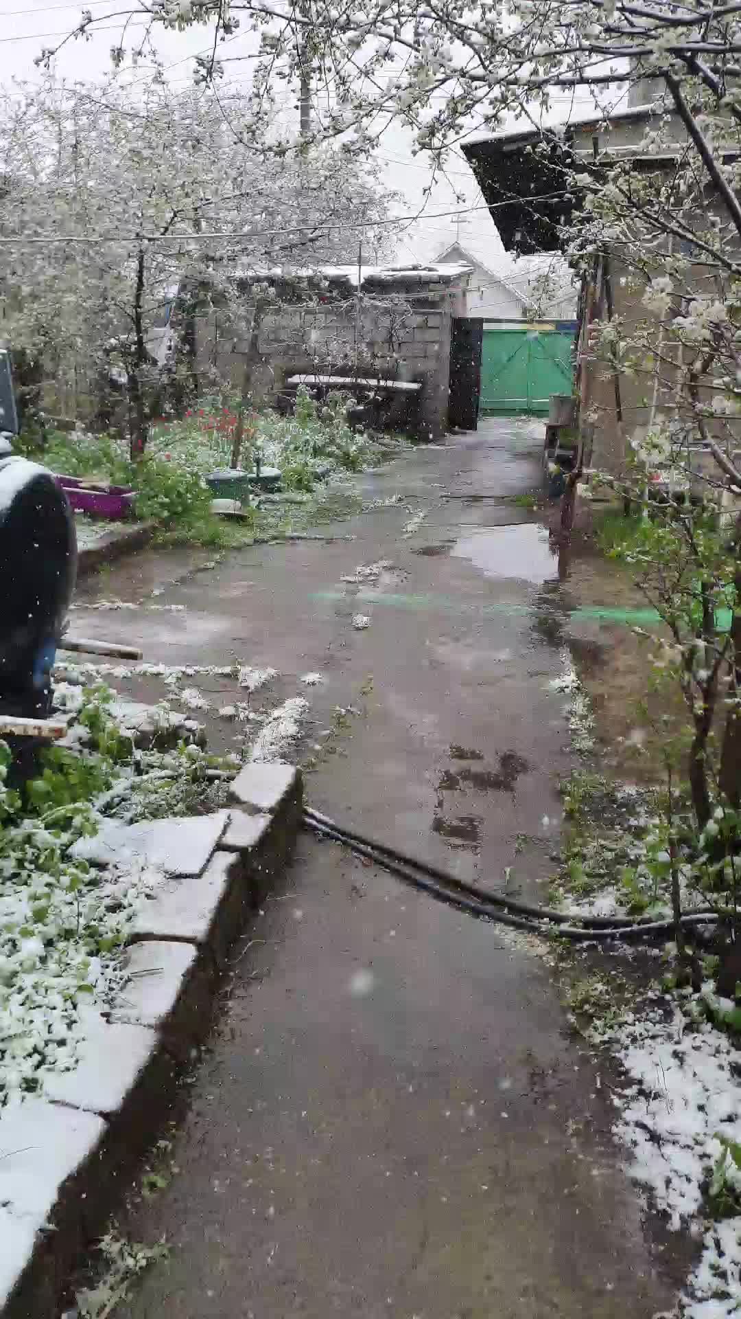 Кошмар 21.4.2026