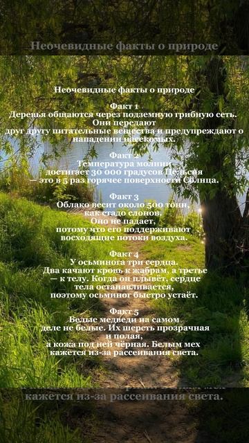 Неочевидные факты о природе которые ты не знал!