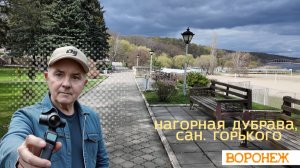 Скрытые места Воронежа: лес, пляж и забытое кладбище 21.24.26г.