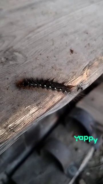 Готовимся к лету😀