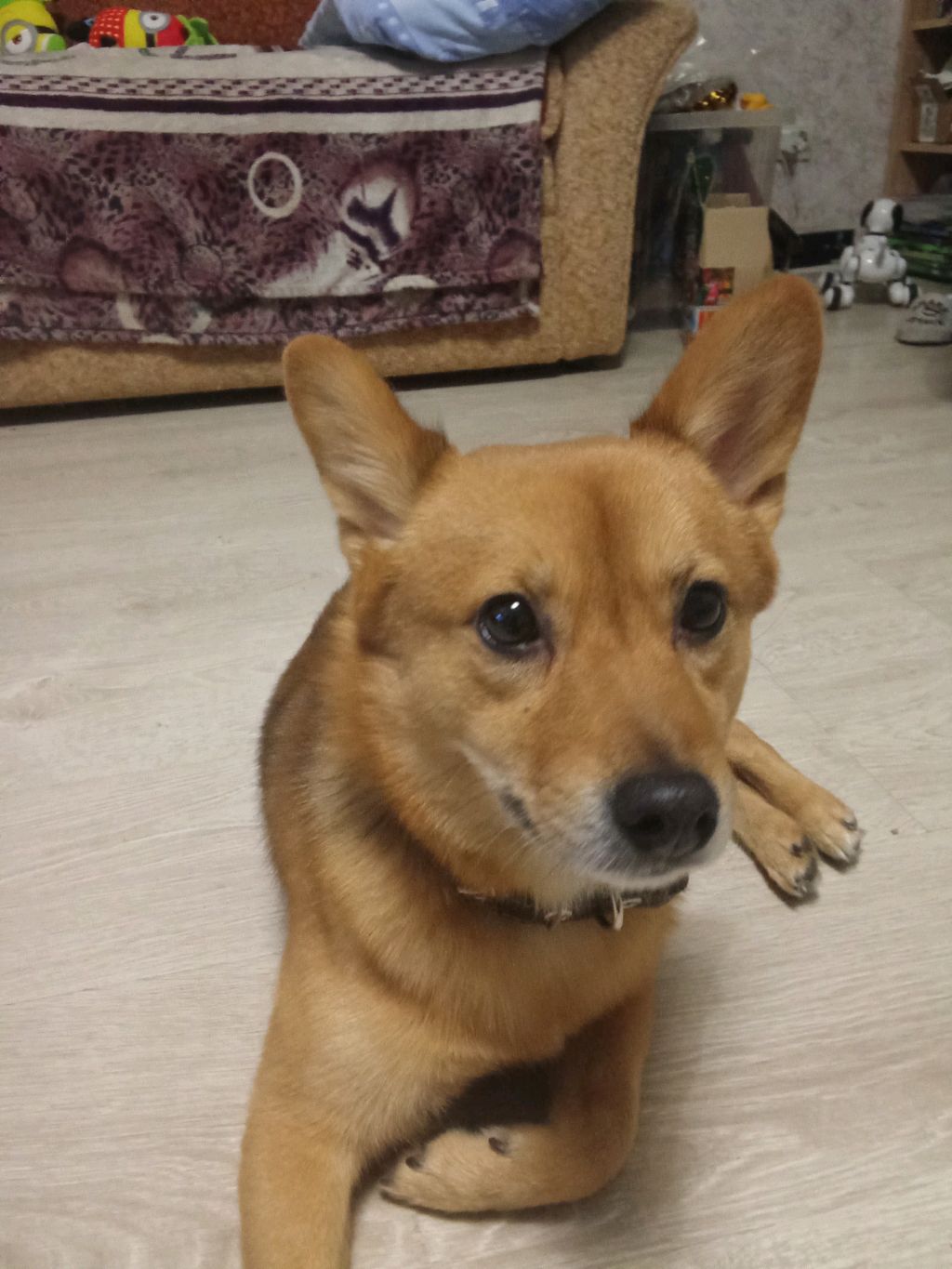 просто трансляция для меня и вас