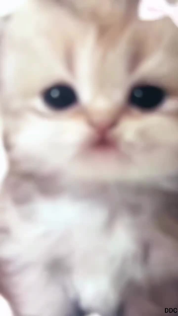 Это мы берем