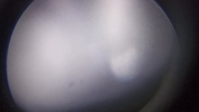 вещи под микроскопом