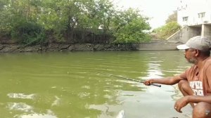 Очень сильная и крупная рыба РОХУ(4)