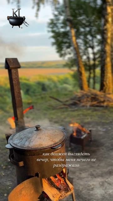 ТИШИНЫ ХОЧУ, ТИШИНЫ.........