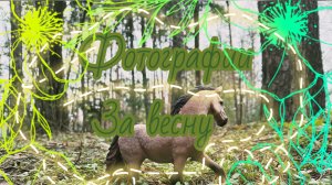 Весенние фотосеты.