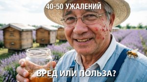 40-50 пчелоужалений за раз: это вредно или полезно? Отвечает профессор Кашковский 🐝⚠️