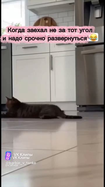 х..хоть тут актив проявите🙏