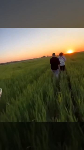 MOV_20260421_100319_599.mp4