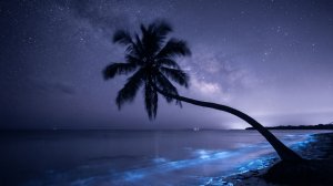 🌿 Дип хаус для йоги и растяжки | Музыка для практики, гибкости и осознанности