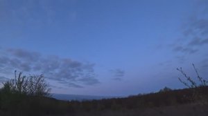 ОХОТА НА ВАЛЬДШНЕПА, ОТЛИЧНАЯ