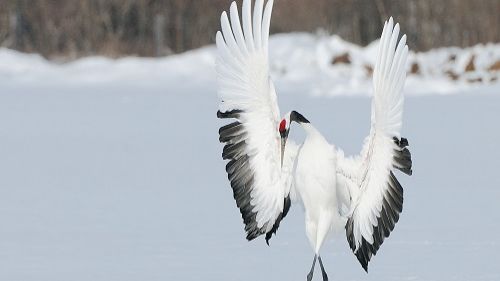 Песни на мои стихи - Молитва...FolcRoc