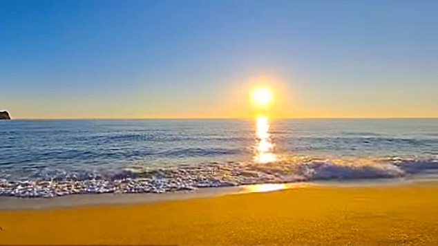 ЭТО ВАША ПРИВИЛЕГИЯ