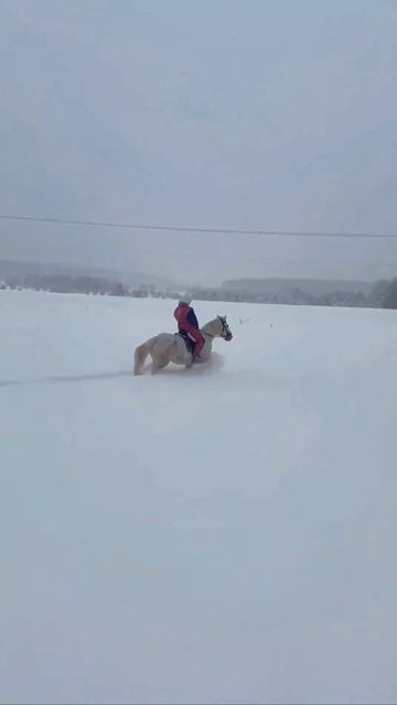 Танцы по сугробам