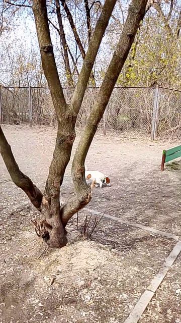 Новикова-прибоя площадка 21.04.2026.