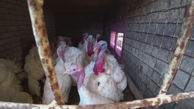 Влог от 09.08.2022