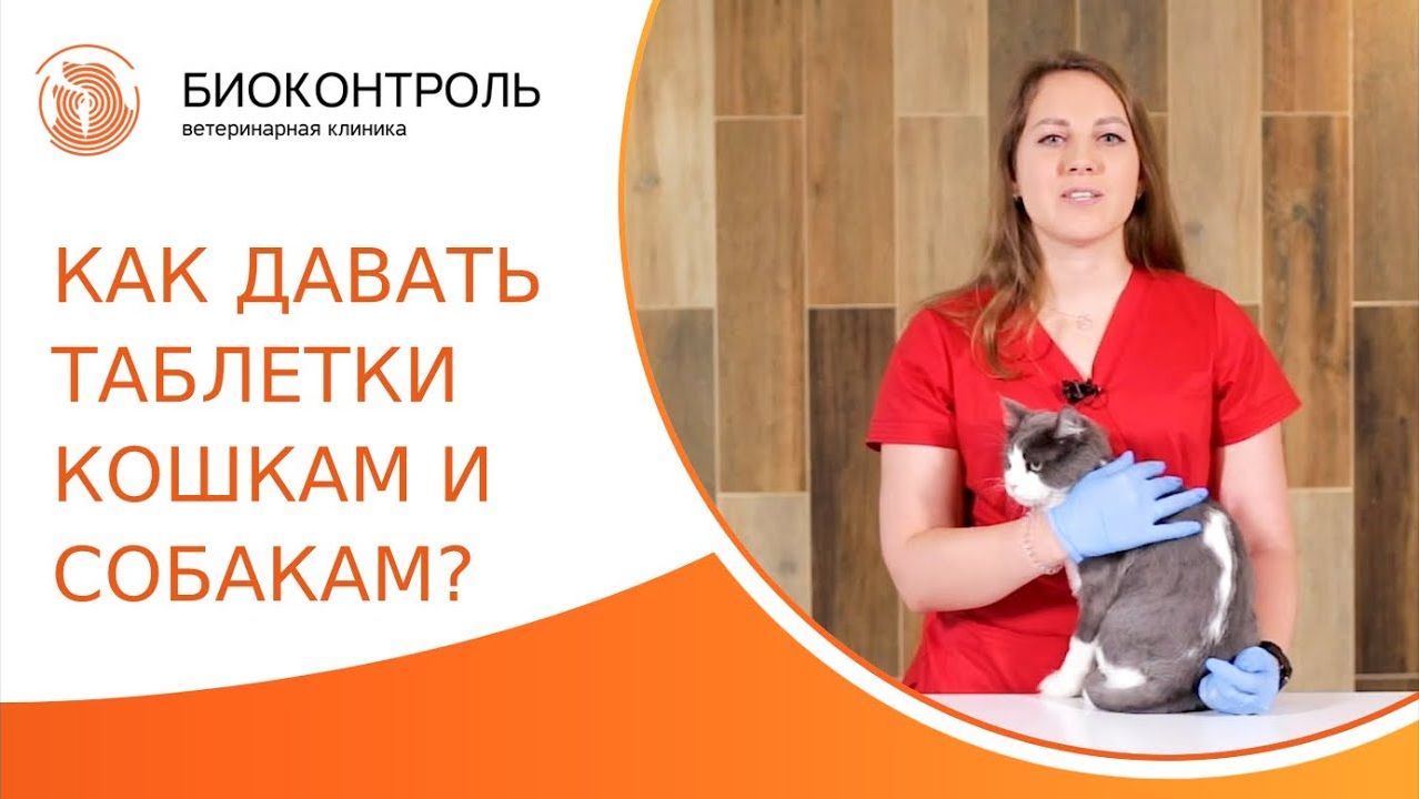 Как правильно дать таблетку собаке и кошке? Как дать таблетку собаке и кошке. Биоконтроль. 18+
