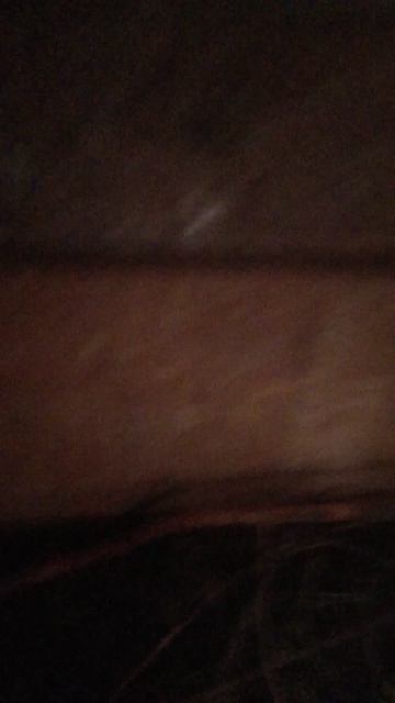 Как кролик реагирует на чужака