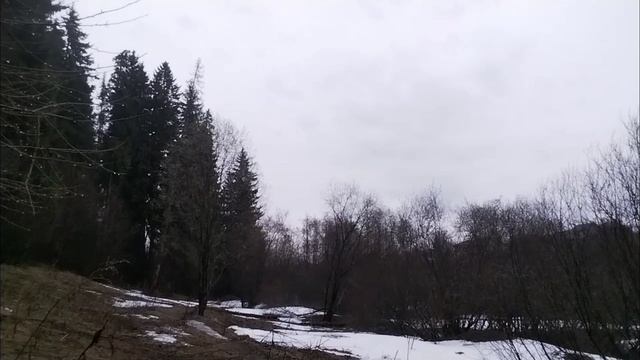 Ключик 🔑🏞️ лесной весенней  порой🤗✨,
природа просыпается,первыми цветами🌼 улыбается🤗