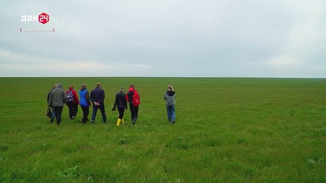 Степная весна