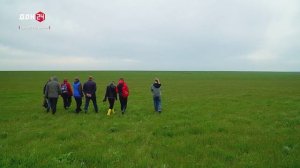 Степная весна