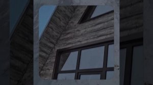 1000056725.mp4 (Собака наблюдает за устройством лестницы на 2-ой этаж в доме А-фрейм)