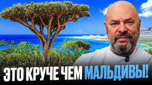 Настоящий АВАТАР на Земле: Остров Сокотра | Самое уникальное место на Земле