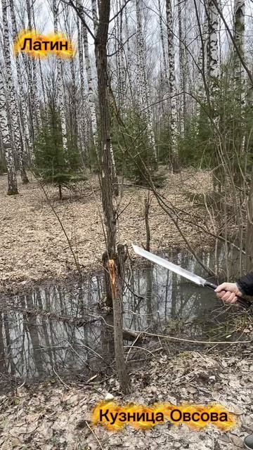 Мачете Латин