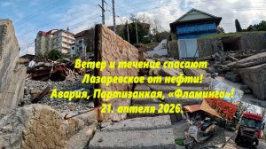 Ветер и течение спасают Лазаревское от нефти! Пляж Фламинго и Партизанская! Лазаревское 21.04.2026.