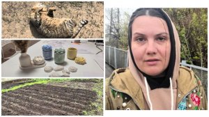 Посадила КАРТОШКУ👩🌾 | Стоит ли продолжать снимать...😏