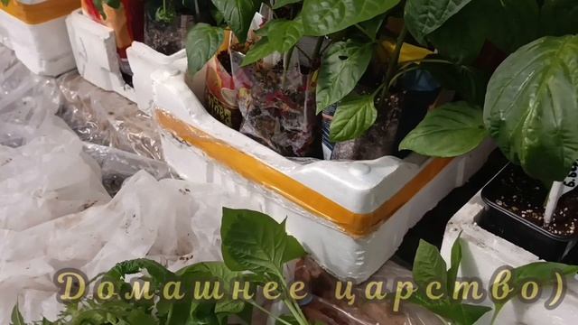 Погода, ты меня пугаешь!😱😱😱
Очередная 