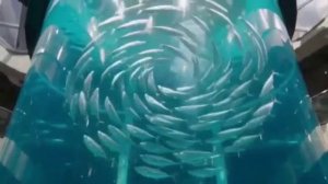 🐠🔥ОКЕАНАРИУМ ВЗРЫВАЕТ: То, что ты ещё не видел! 😱🌊