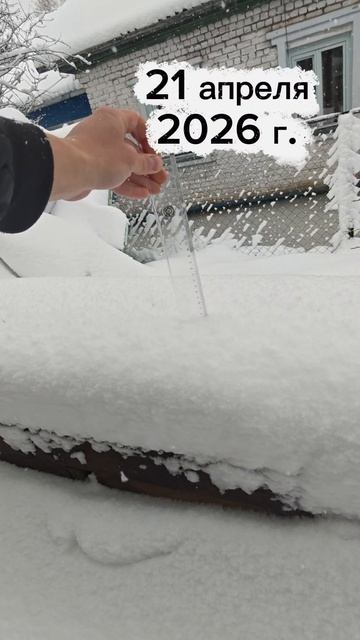 Весна 2026 г. 🌼