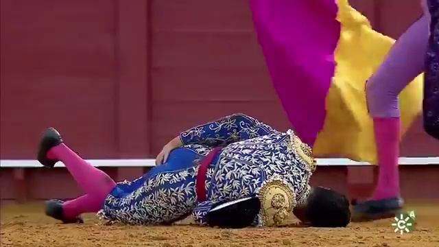 Бык разорвал анус тореадору в Испании