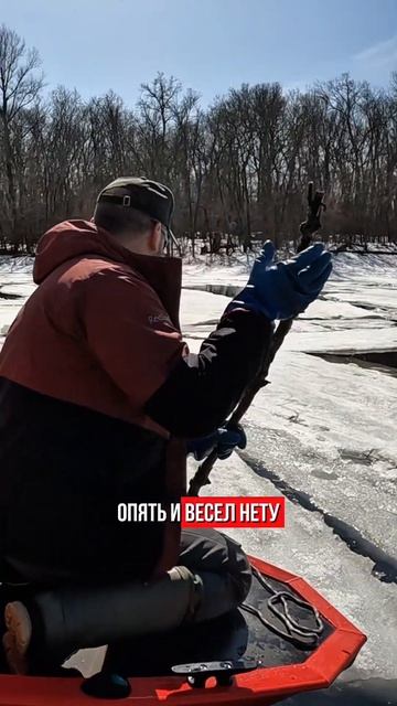 Застряли во льдах! #прикол #юмор